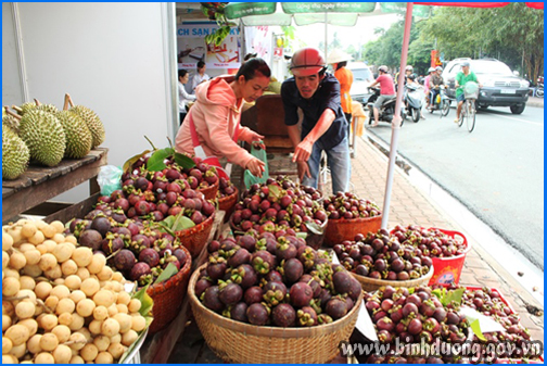 Mô tả ảnh