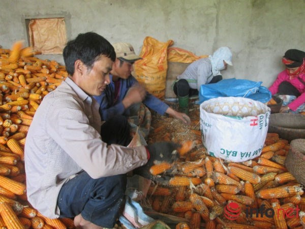 Mô tả ảnh