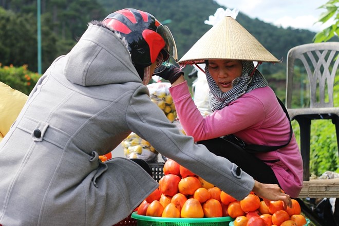 Mô tả ảnh