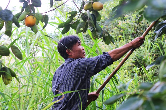 Mô tả ảnh