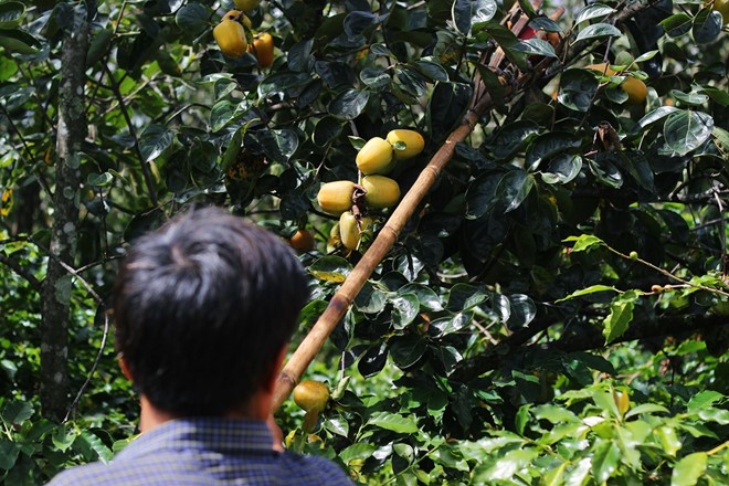 Mô tả ảnh