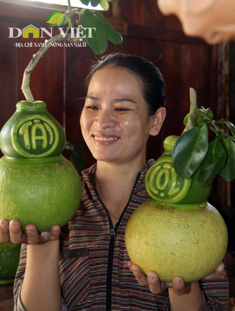 Mô tả ảnh