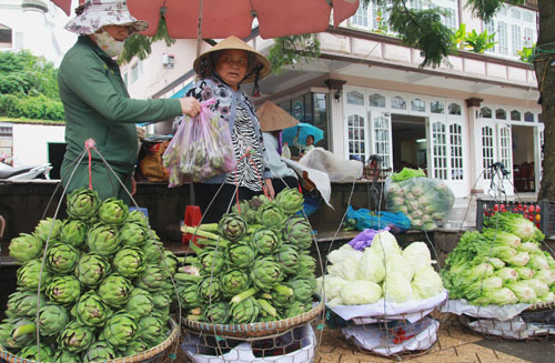 Mô tả ảnh