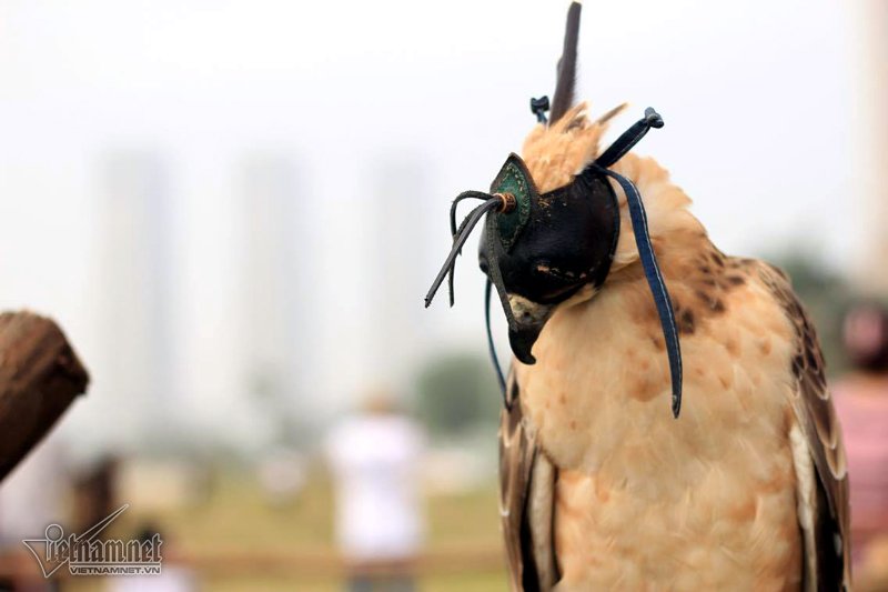 Mô tả ảnh