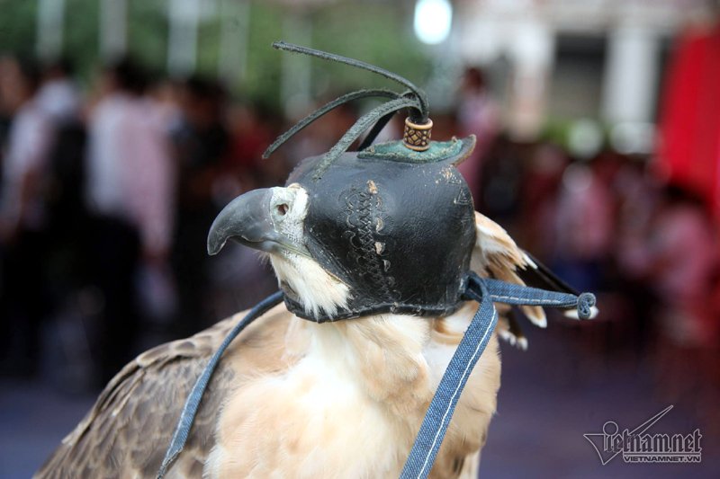 Mô tả ảnh