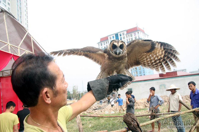 Mô tả ảnh