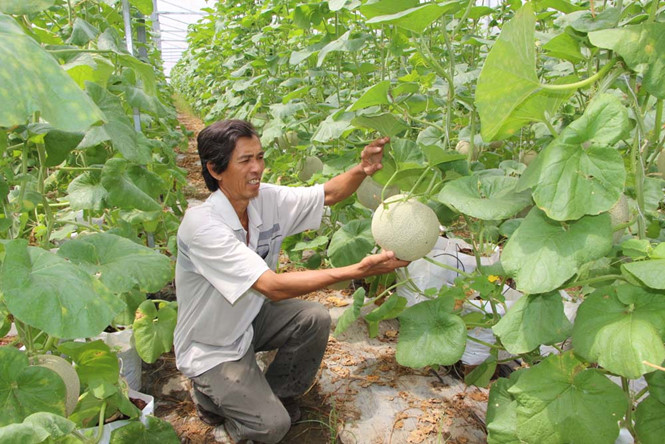 Mô tả ảnh