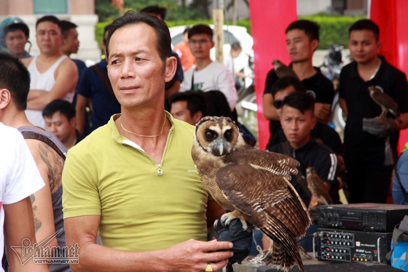 Mô tả ảnh