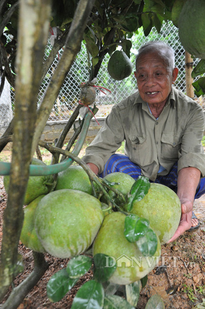 Mô tả ảnh