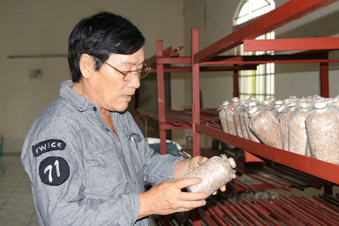 Mô tả ảnh