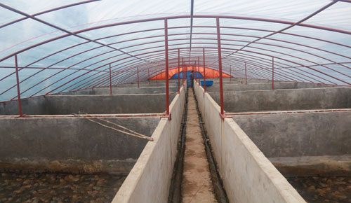 Mô tả ảnh