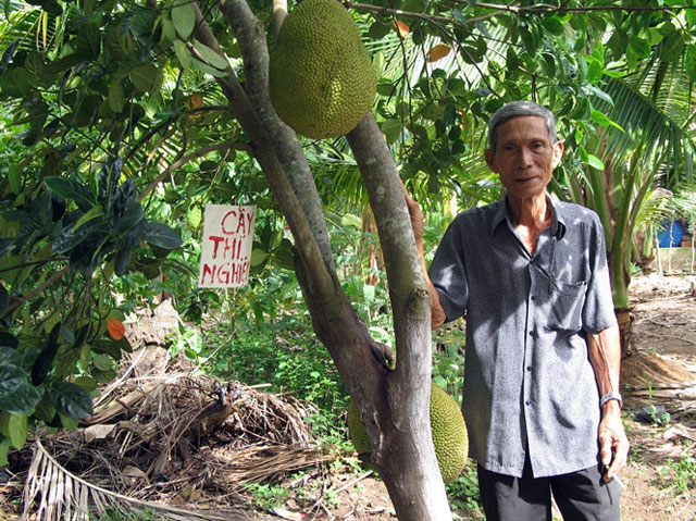 Bộ sưu tập quả không hạt giúp nông dân Việt làm giàu không khó