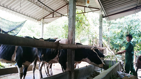 Mô tả ảnh