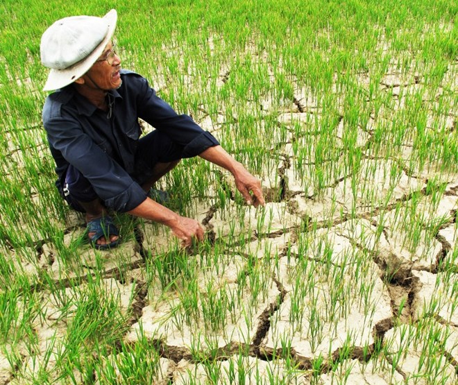 Mô tả ảnh