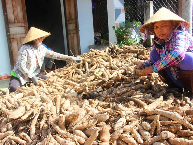 Mô tả ảnh