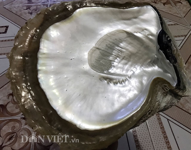 Mô tả ảnh