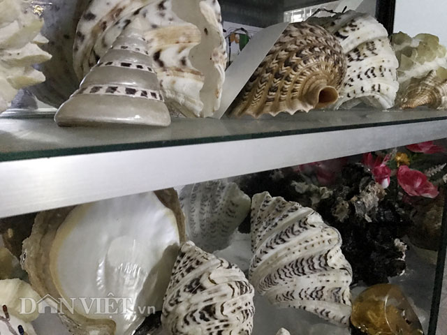 Mô tả ảnh