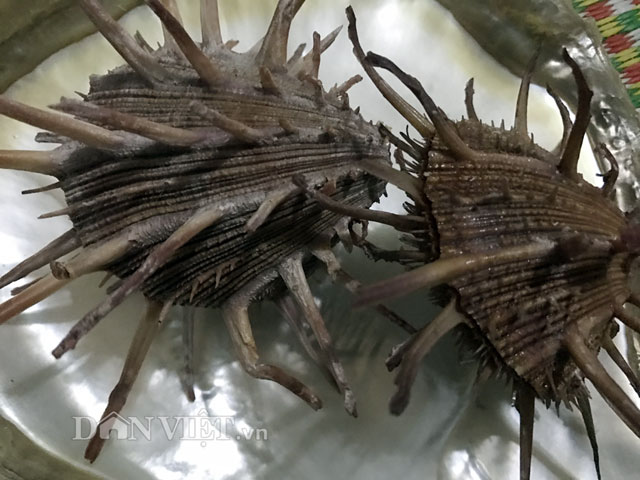 Mô tả ảnh