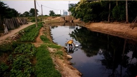 Mô tả ảnh