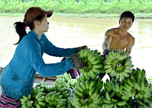 Mô tả ảnh