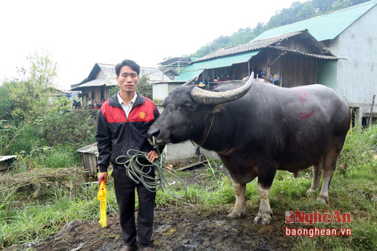 Mô tả ảnh