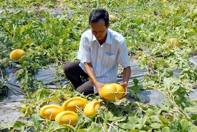 Mô tả ảnh