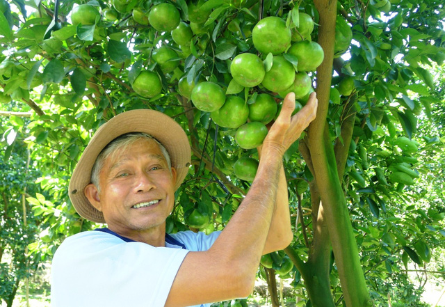 Mô tả ảnh