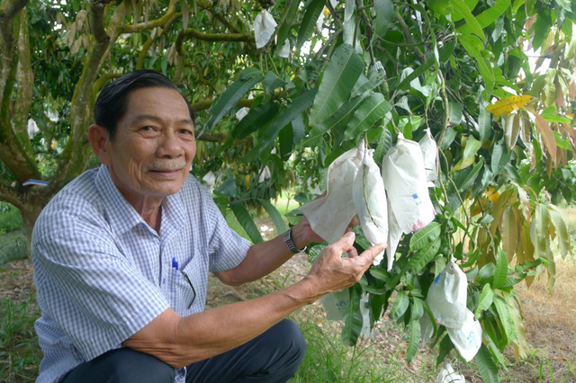 Mô tả ảnh