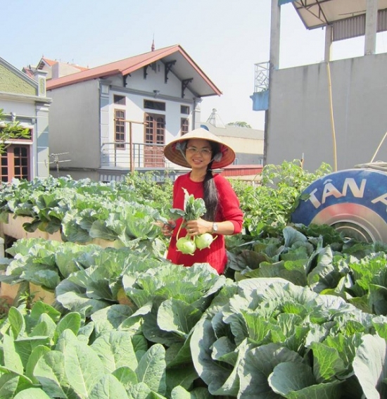 Mô tả ảnh