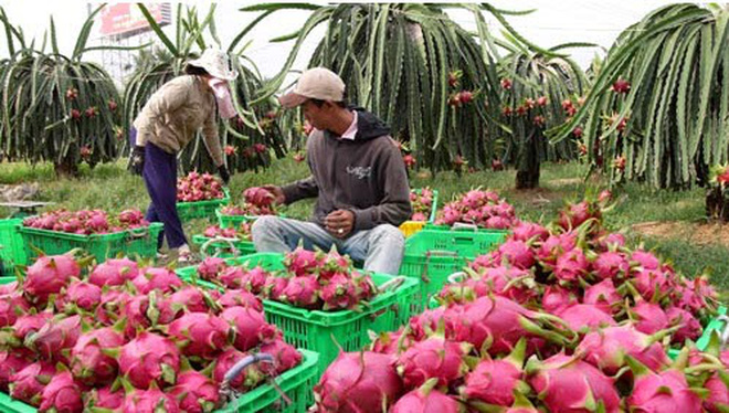Mô tả ảnh