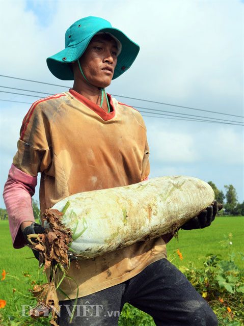 Mô tả ảnh