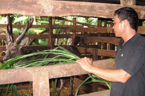 Mô tả ảnh