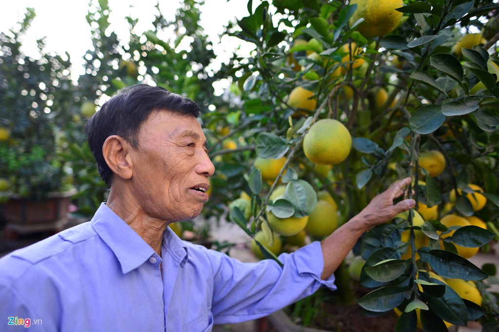 Mô tả ảnh