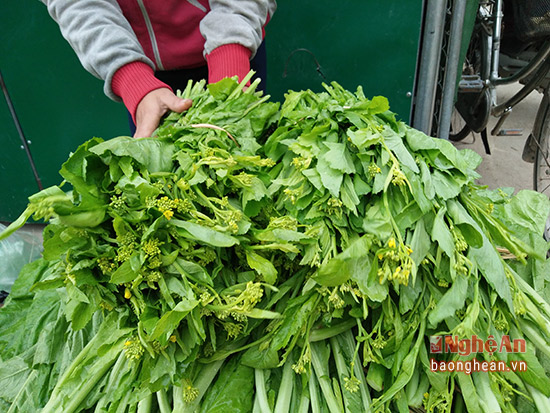 Mô tả ảnh