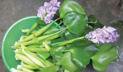 Mô tả ảnh