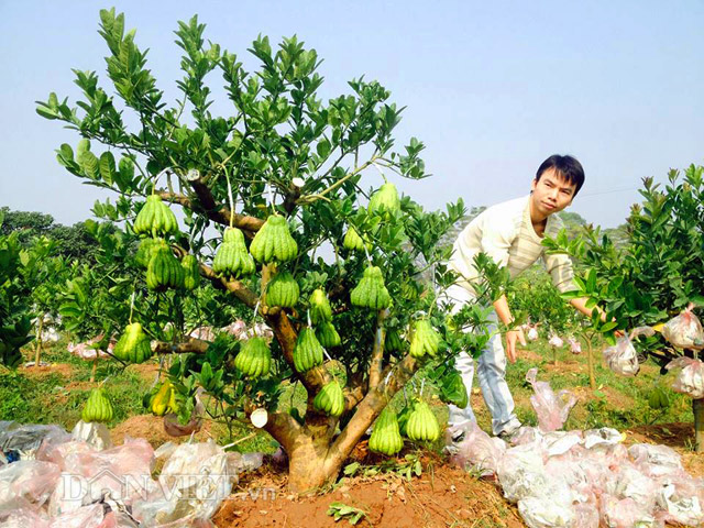 Mô tả ảnh