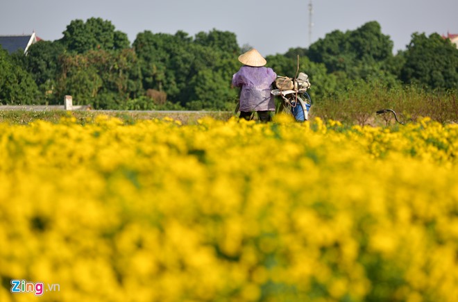 Mô tả ảnh