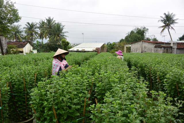 Mô tả ảnh