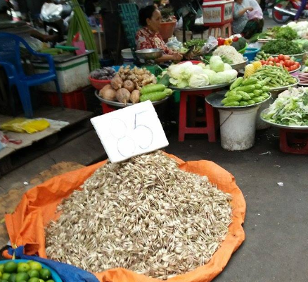 Mô tả ảnh