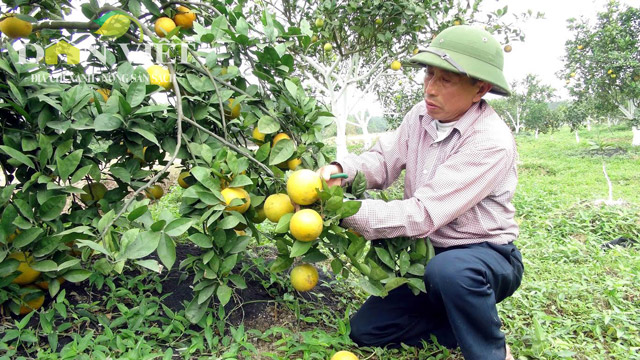 Mô tả ảnh