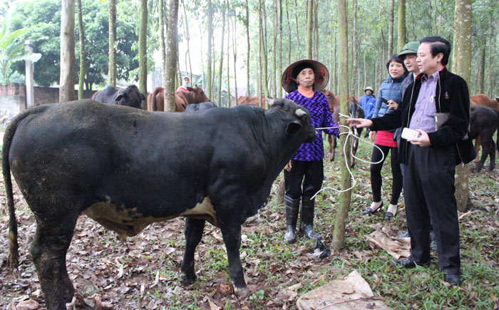 Mô tả ảnh