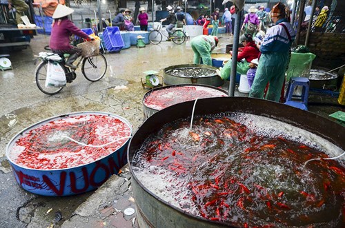 Mô tả ảnh