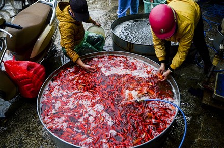 Mô tả ảnh