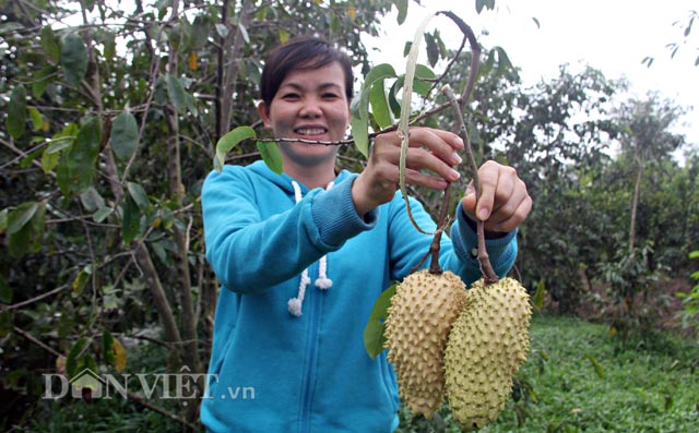 Mô tả ảnh