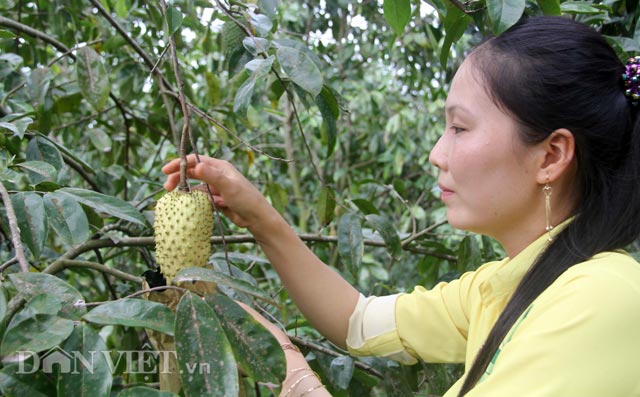 Mô tả ảnh