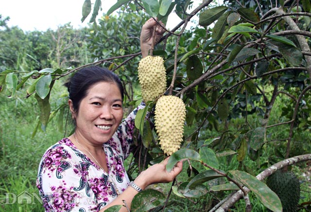 Mô tả ảnh