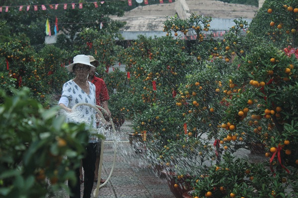 Mô tả ảnh