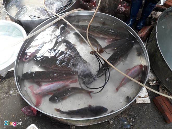 Mô tả ảnh