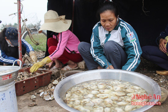 Mô tả ảnh