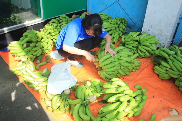 Mô tả ảnh